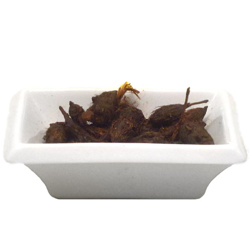 Cyperus Rotundus - 16 oz
