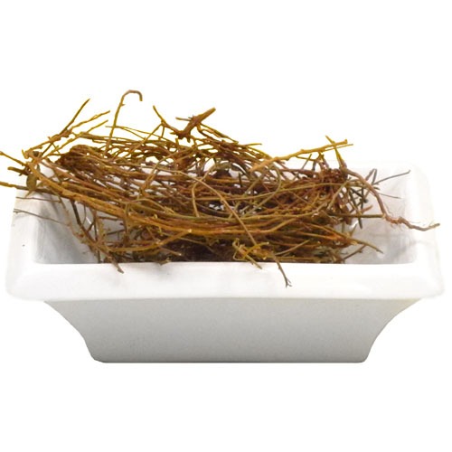 Shankshapushpi - 4 oz