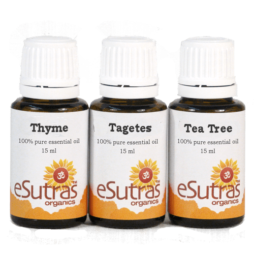 Essential Oil Kit- Antibacterial