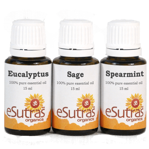 Essential Oil Kit- Respiratory