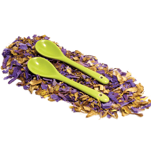 Set of 2 Spoons - Lime